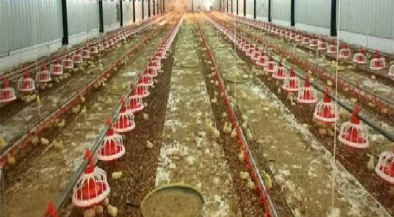 Product Details Image