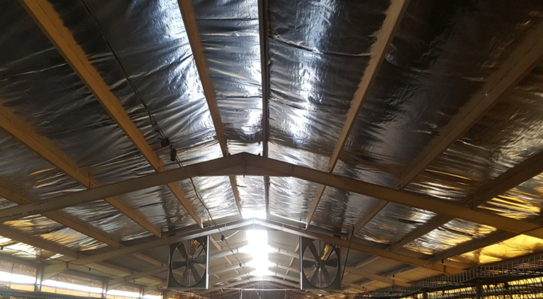 Product Details Image